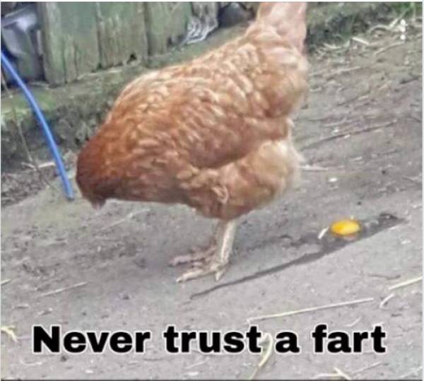 Never trust a fart.