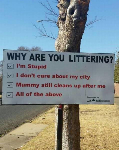 Why are you littering?