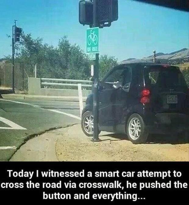 Nobody Said You Had To Be Smart To Drive A Smart Car.