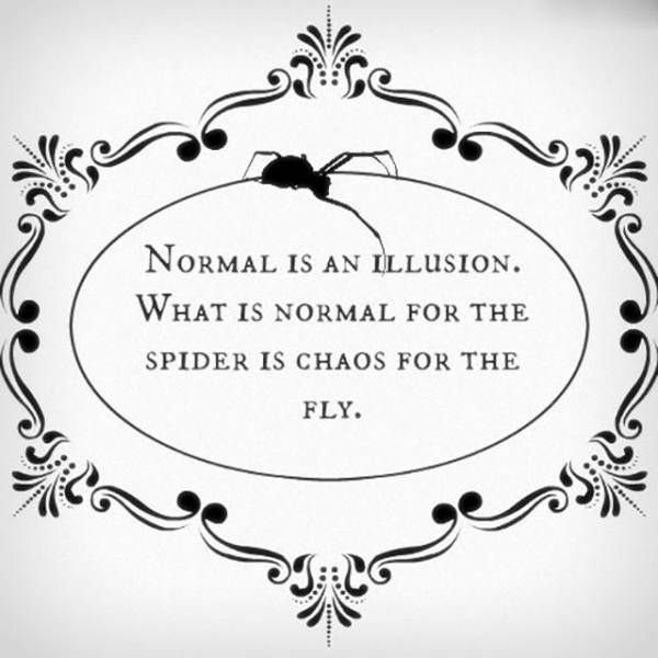 Normal is an illusion.