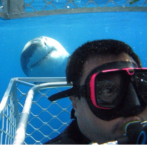 Nothing says I'm a bad ass more than taking a selfie with a great white shark.