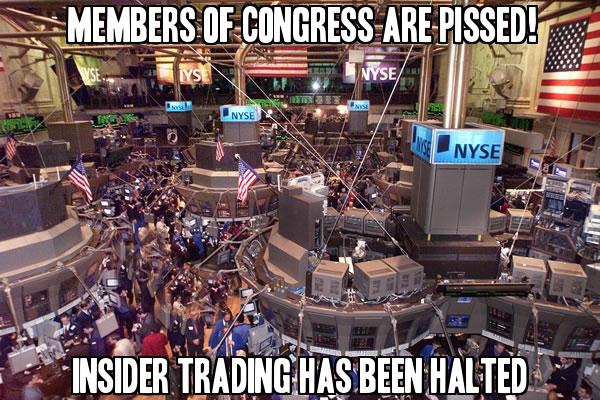NYSE has been halted and the Members of Congress are pissed!