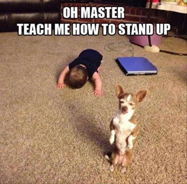 Oh Master. Teach me how to stand up!