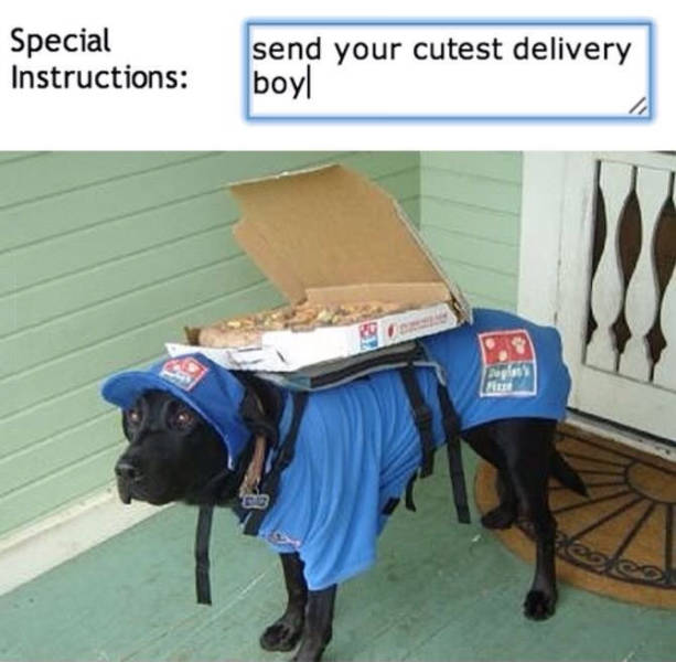 Ordered a pizza and told them to send the cutest delivery boy.