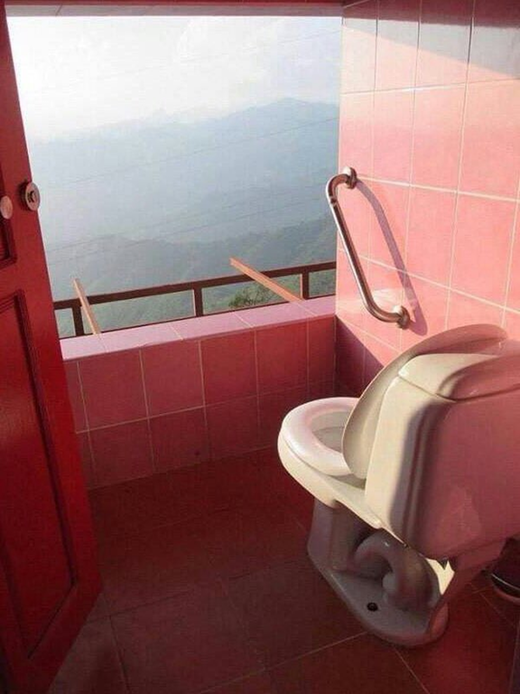 Poop with a view.