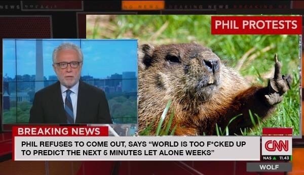 Punxsutawney Phil protests Groundhog Day.