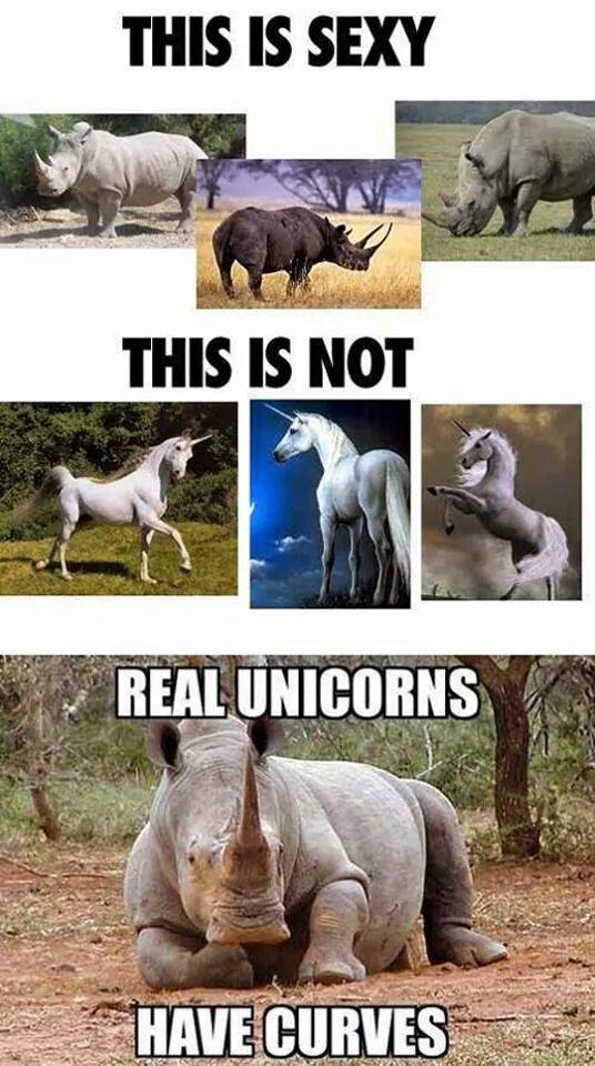 Real unicorns have curves.