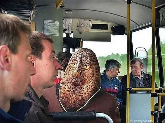 Riding the bus is always an adventure