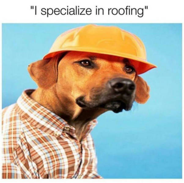 Roofing specialist.