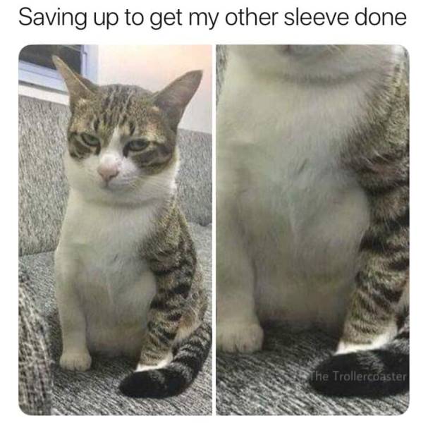 Saving up to get my other sleeve done.