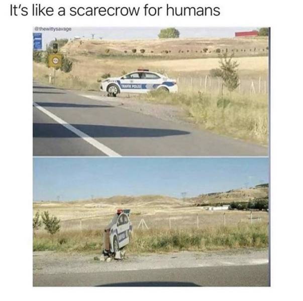 Scarecrow for humans.