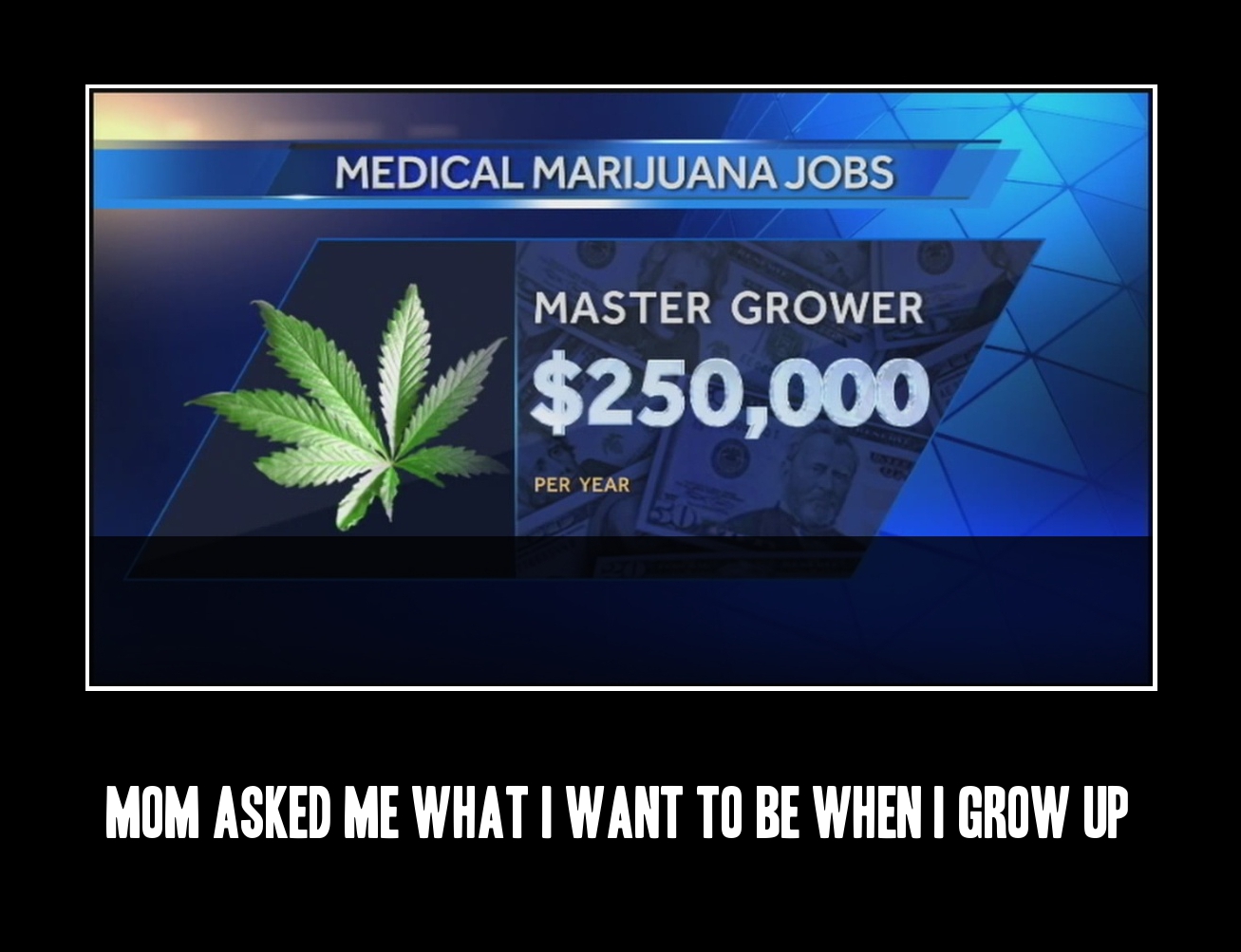 Screw being a policeman or a fireman. I want to be a master medical marijuana grower.