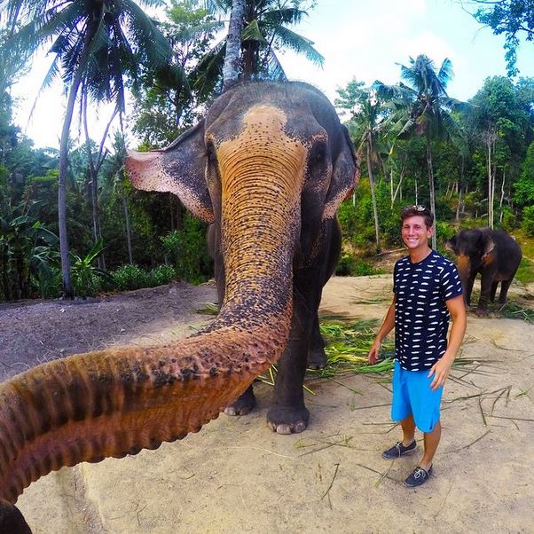 Selfie sticks are outdated fads. The new rage is elephant selfies.