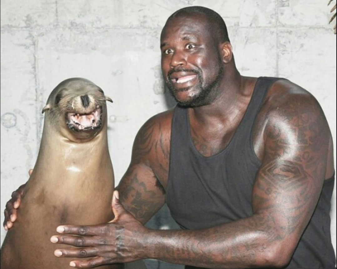 Shaquille O'Neal posing with a sea lion.