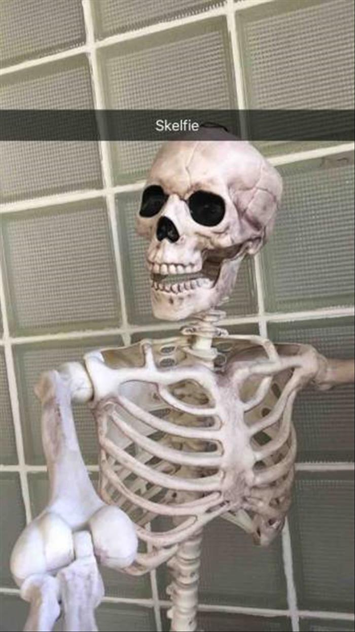 Skelfie.