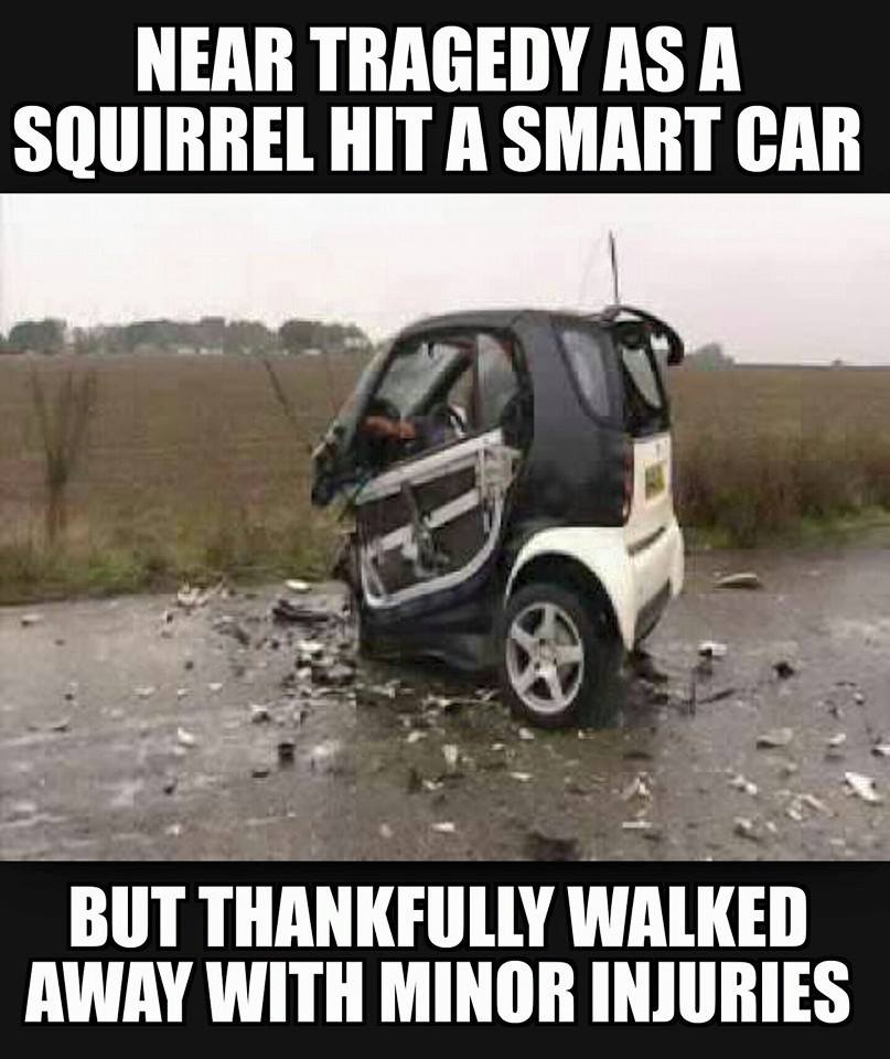 Smart car accidentally hits a squirrel, but don't worry, the squirrel is just fine.