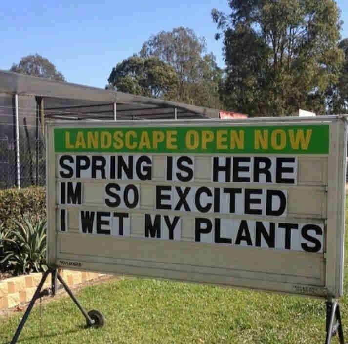 So exciting when Spring arrives! We can all wet our plants.