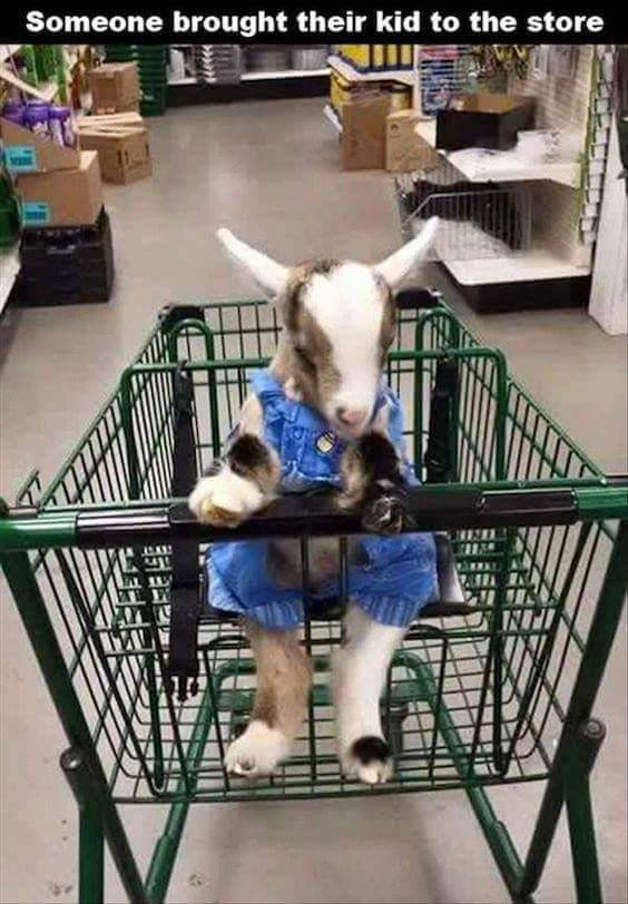 Someone brought their kid to the store.