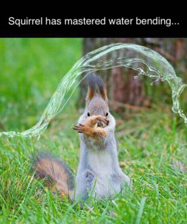 Squirrel has mastered water bending.