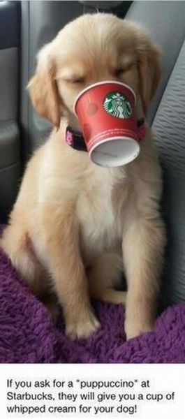 Starbucks has a secret menu item called the 