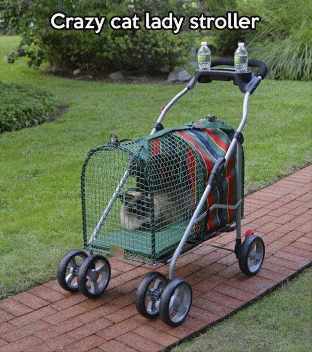 Stroller for pet owners who treat their cats like their children or it would also be good if you are a crazy cat lady.