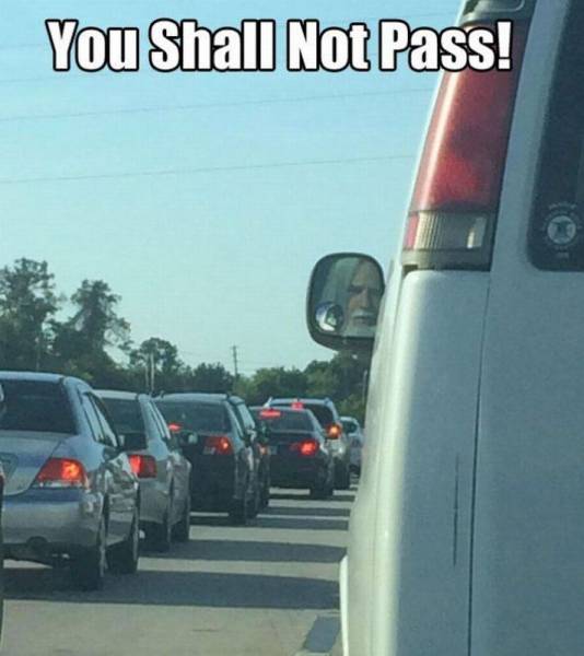 Son of a bitch wouldn't let me pass, then I realized it was Gandalf.