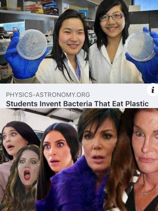Students invent bacteria that eat plastic.