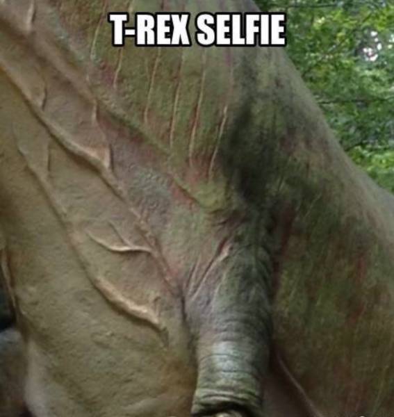 T. Rex selfie.