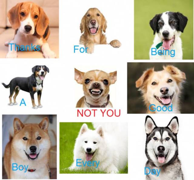 Thanks for being a good boy every day.