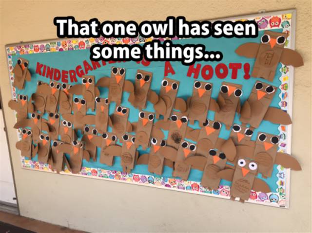 That one owl has seen some things.