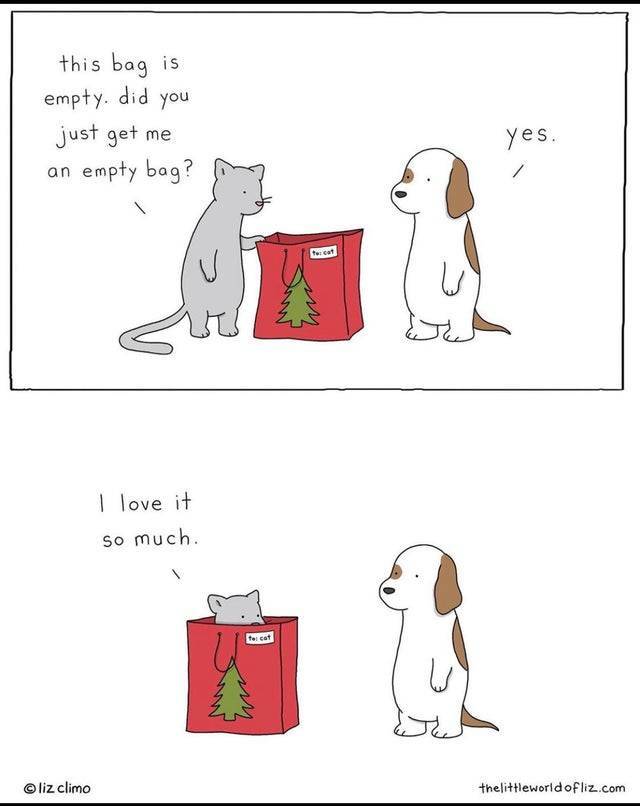 The best gift you can give a cat.