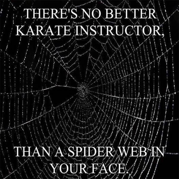 The best karate instructor.