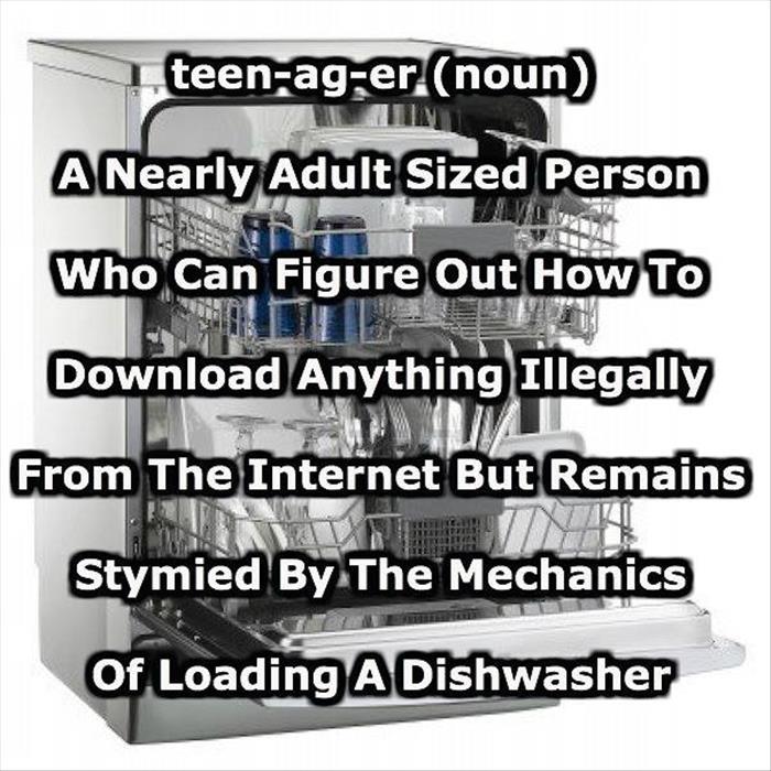 The definition of a teenager.