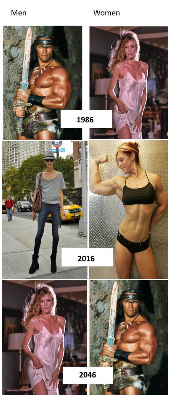 The evolution of men and women.