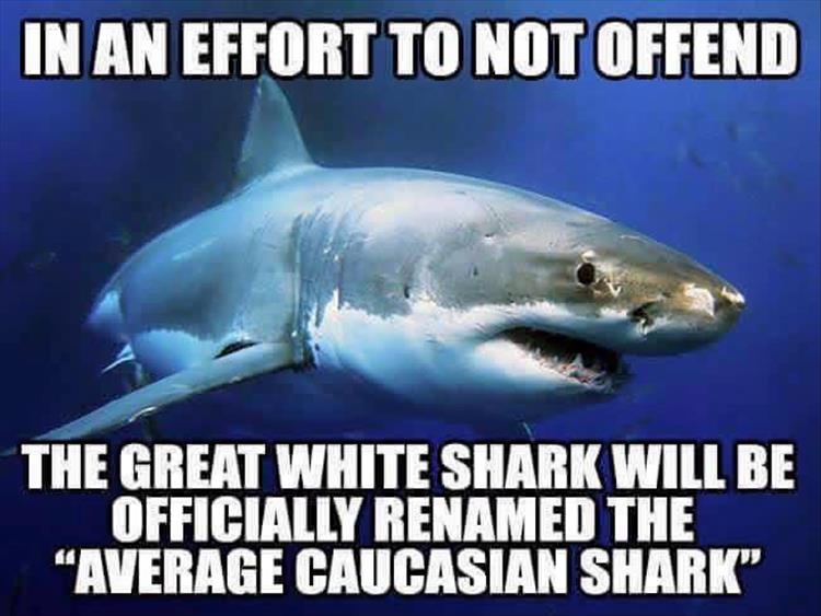 The great white shark will officially be renamed in an effort not to offend anyone.