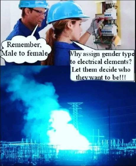 There are only two genders.