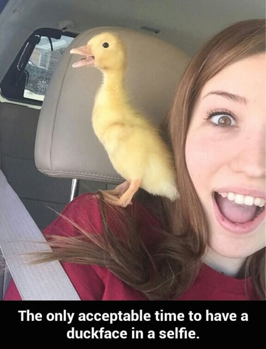 The only acceptable time to have a duck face in a selfie.