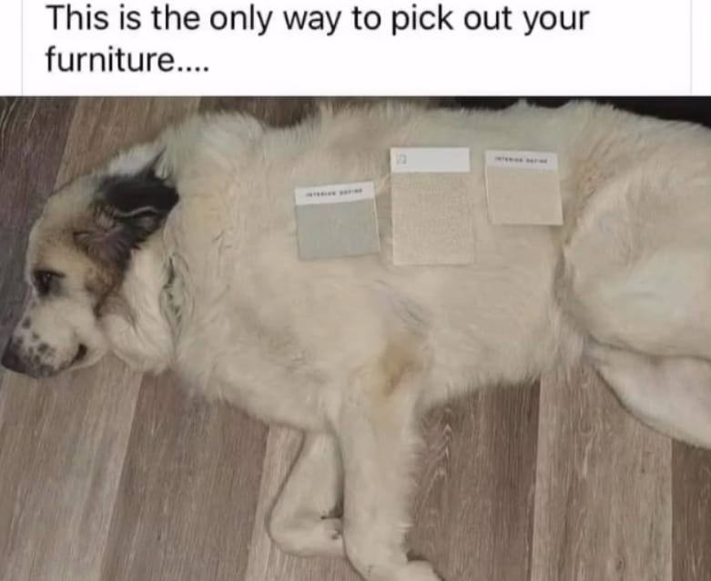 The only way to pick out your furniture.