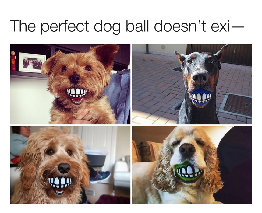 The perfect dog ball.