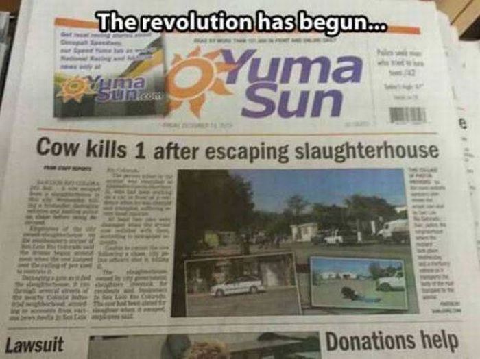 The revolution has begun.