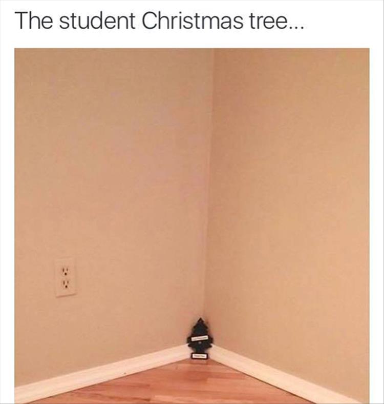 The student Christmas tree.