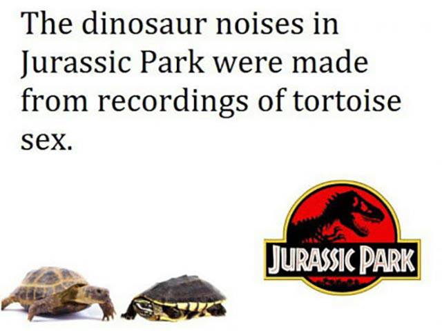 The truth about Jurassic Park.