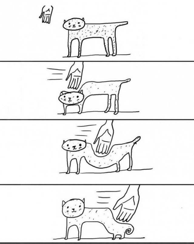 What happens when you try to pet a cat.