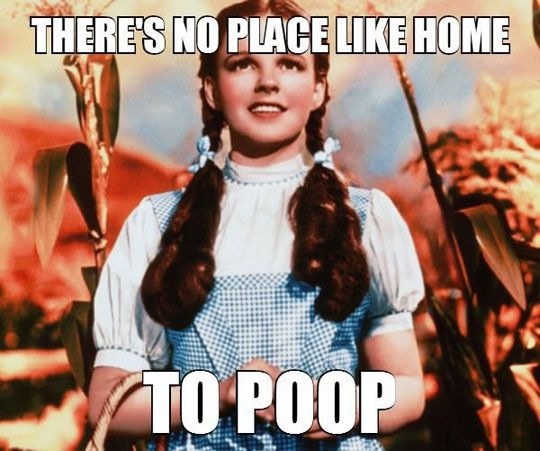 There's no place like home, especially when you need to poop.