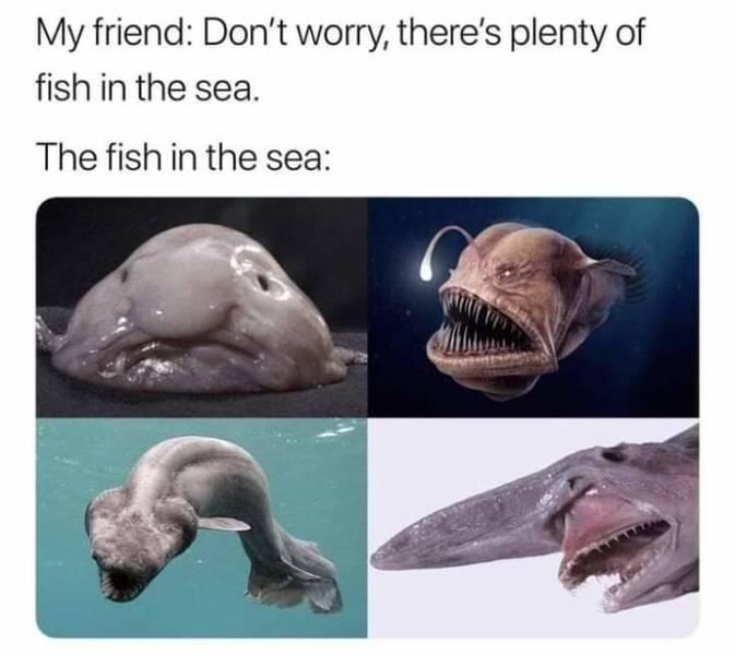 There's plenty of fish in the sea.