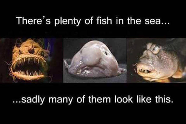 There's plenty of fish in the sea.