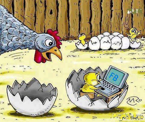 A chicken is hatched already logged on to Facebook describes today's society well.
