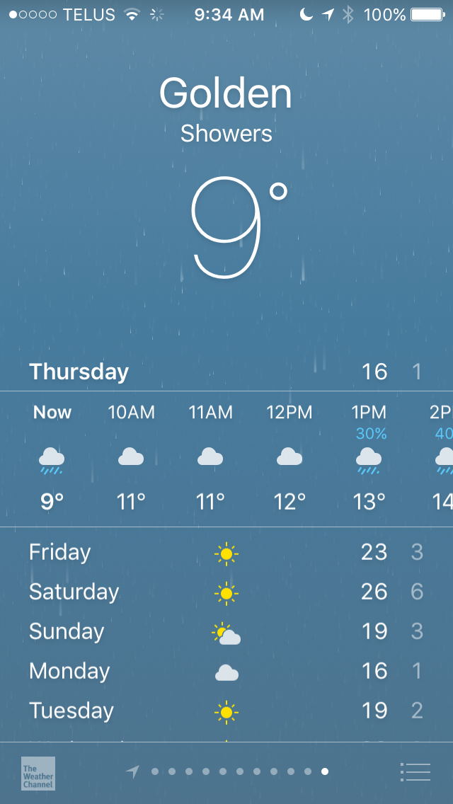 After checking the weather forecast, I think I'll just stay inside today.