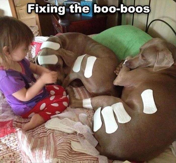 This caring child is fixing her doggies boo-boos.