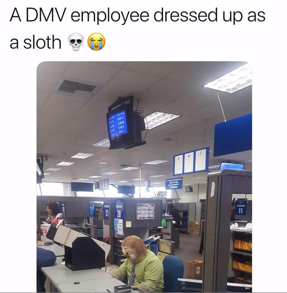 This DMV employee chose the perfect costume for Halloween.
